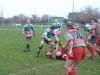 Novembre 2008, Clisson